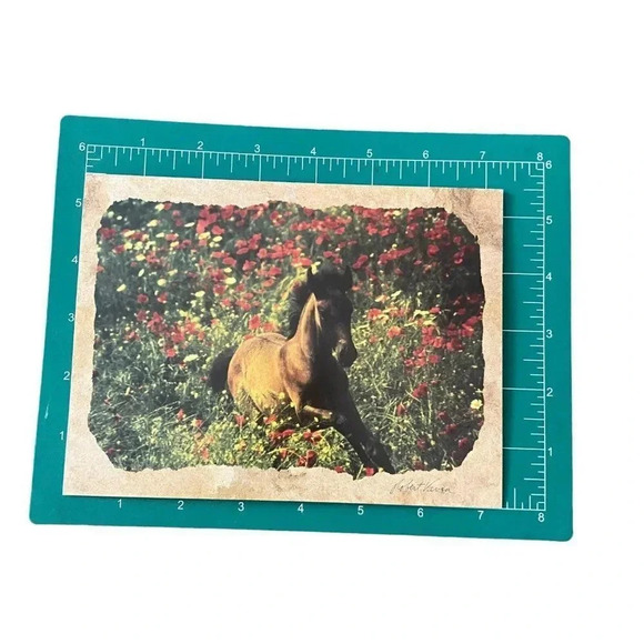 Horse Galloping Combo Pack VTG Leanin' Tree Greeting Card & Magnet Robert Vavra - Picture 10 of 16